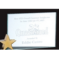 Achievement Award w/ Brass Star - Small